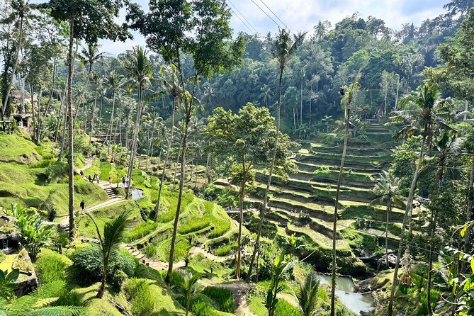 Bali Spiritual: Balinese Healing, Temple & Rice Terrace - Coffee, tea, and the practical lunch stop