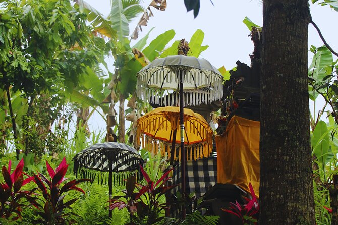 Bali Spiritual: Blessing Ceremony, Pristine Nature and Transfer - Key points at a glance