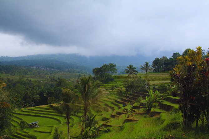 Bali Spiritual: Blessing Ceremony, Pristine Nature and Transfer - Air Terjun Pengempu, a forest waterfall