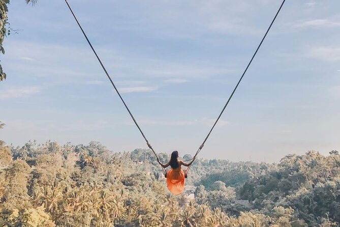 Bali Swing, Monkey Forest and Waterfall Private Tour - A full day from Seminyak to Ubud’s best-known sights