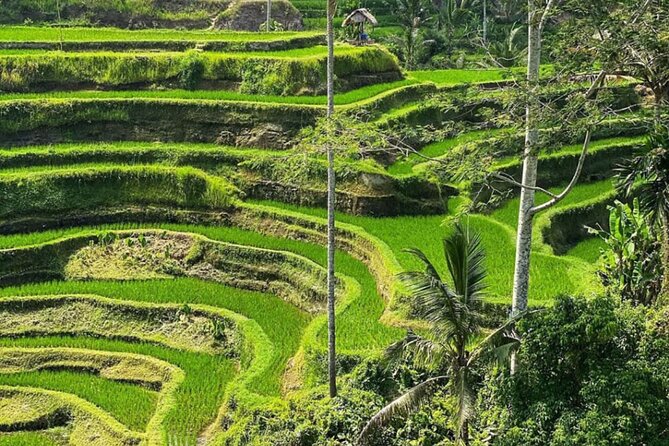 Bali Swing, Monkey Forest and Waterfall Private Tour - Kanto Lampo Waterfall’s unusual rock shelves