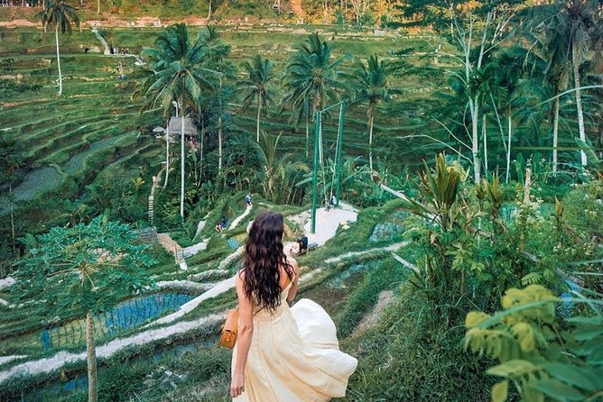Bali Tour : Best Attractions in Ubud with Rice Terrace - Why this Ubud route works for first-time visitors