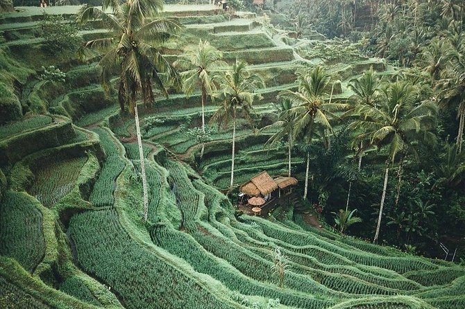 Bali Tour Customized With Local Guide - Who should book this private Bali tour?