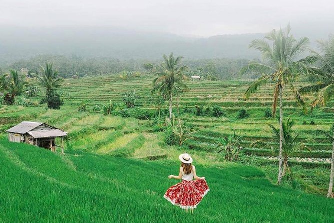 Bali Tour Package 9 Days 8 Nights - North Bali temples and the wide Jatiluwih fields