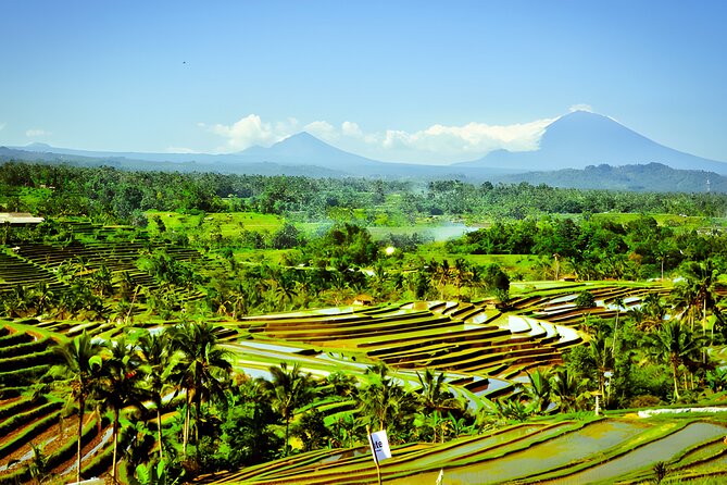 Bali Tour: The Best Way to Explore The Highlight of Bali - Penatahan Hot Springs offers a change of pace