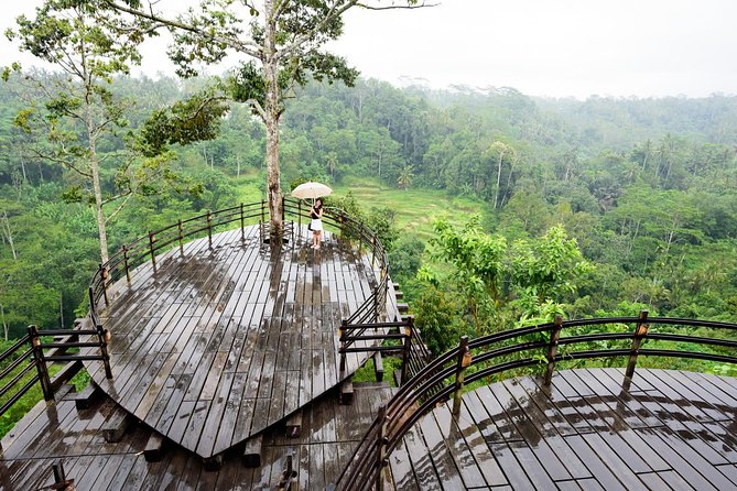 Bali Ubud & Kintamani Volcano Tour -All Inclusive - Lunch comes with a Tegallalang view