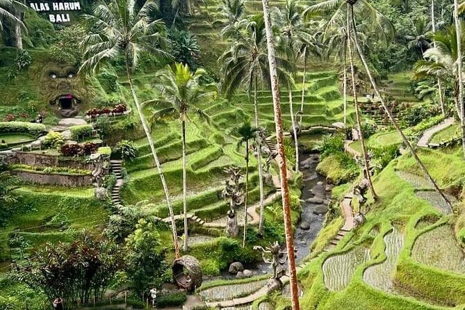 Bali Ubud Private Costomized Tour - Explore Bali your way - Sacred Monkey Forest, a lively Ubud classic