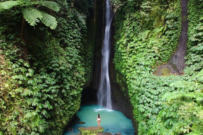 Bali: Ubud (Temple, Spring, Rice Terraces, & Waterfall) - Coffee, tea, and the jungle swing at Uma Pakel
