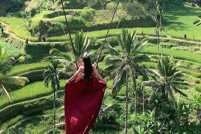 Bali Ubud Tour Monkey Forest, Waterfall, Temple & Rice Terrace - Monkey Forest: macaques among old temple grounds