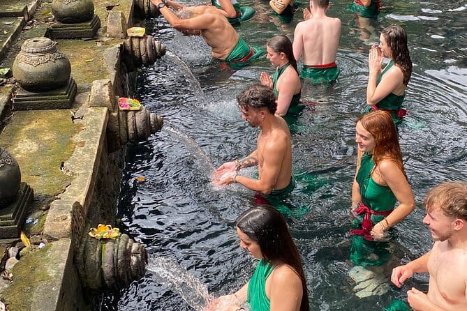 Bali Ubud Tour Monkey Forest, Waterfall, Temple & Rice Terrace - Why the private vehicle matters