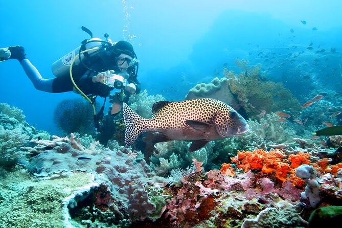 Bali Water Sport Jumbo Packages - The role of your driver