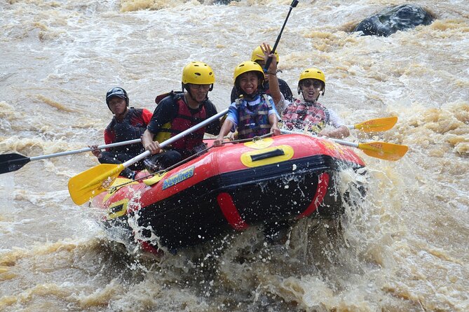 Bali White Water Rafting with Sacred Monkey Forest and Swing - Starting at Bongkasa Pertiwi