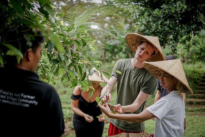 Balinese Farm Cooking Class by Pemulan Bali - Six Balinese dishes in an open-air kitchen