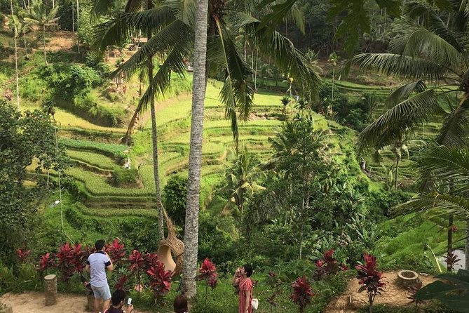 Balinese Life Style Tour - Segara Windhu Coffee Plantation and tasting