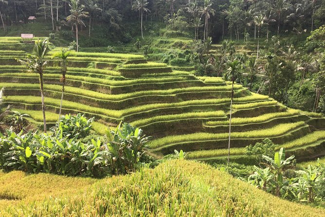 Balinese Life Style Tour - The guide can make or break the day