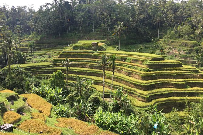 Balinese Life Style Tour - Who should book this Bali day tour