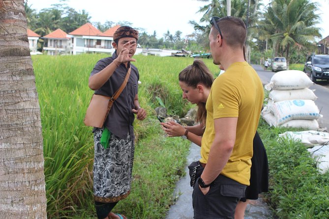 Balinese Ubud cooking school (9 Dish Cooking and Market Tour) - How much instruction will you really get?