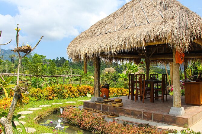 Balinese Vegan Cooking Class with Fresh Harvesting & Garden Tour - A four-course meal with Mount Agung in the distance