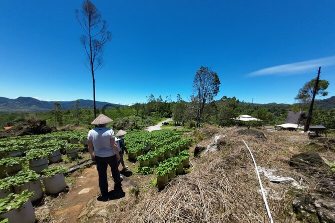 Bandung Volcano Sightseeing and Hot Spring Private Tour - A full day among Bandung’s volcanoes