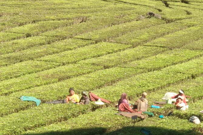 Bandung Volcano Sightseeing and Hot Spring Private Tour - Why the private format matters