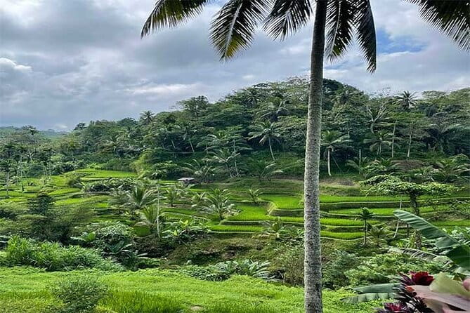 Banyumala Waterfall, Jatiluwih, Ulun Danu and Tanah Lot tours - Why this route gives you a broader Bali day