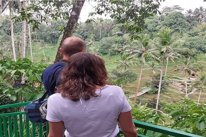 Banyumala Waterfall, Jatiluwih, Ulun Danu and Tanah Lot tours - Banyumala Twin Waterfalls and the swim