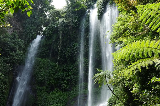 Banyuwana & Banyumala Waterfalls Tour Private - All-Inclusive - The real appeal: waterfalls far from Bali’s beach belt
