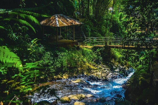 Bedugul and Singaraja Tour - The forest walk to Git Git Waterfall
