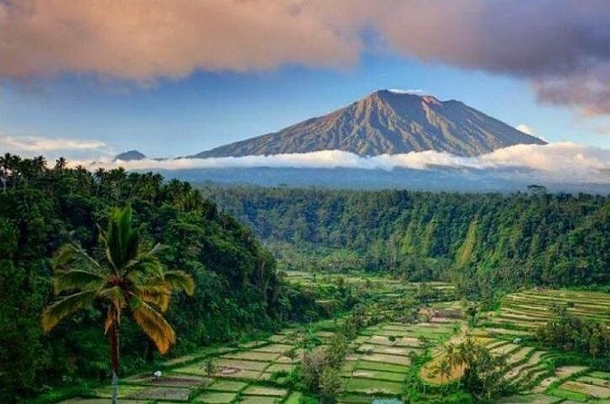 Best bali transport service - custom your own itinerary - Why private transport can be better than a fixed tour