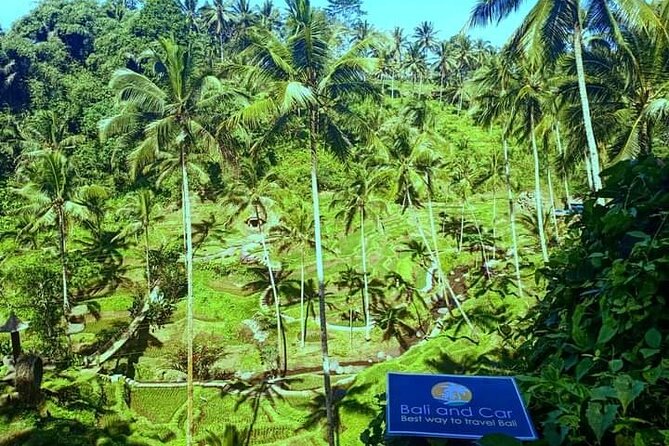 Best bali transport service - custom your own itinerary - What is included, and what you still need to plan