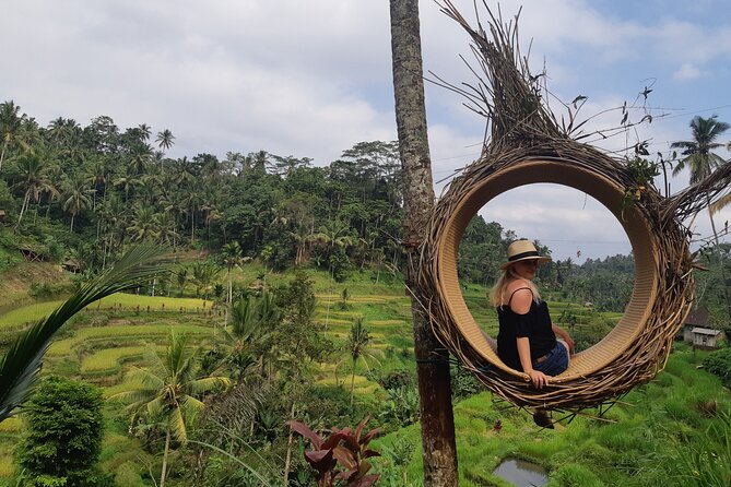 Best Bali Ubud Full Day All-Inclusive Private Tour - Why this private Ubud route works