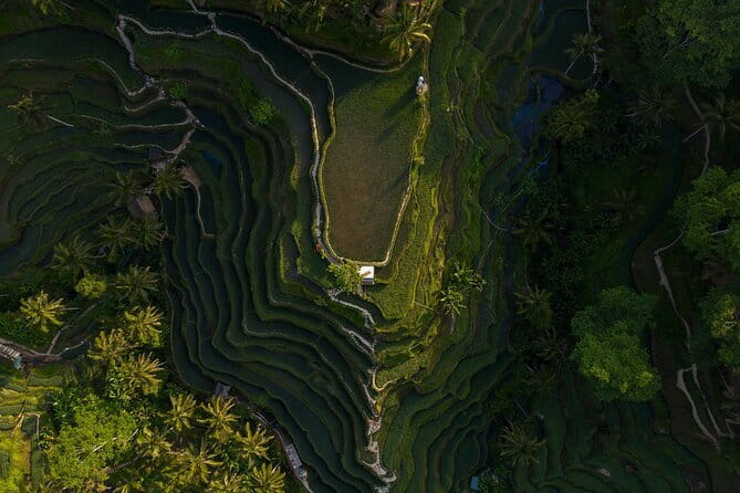 Best Day Tour - #3 World Cleanest Traditional Village - Tegenungan Waterfall starts the sightseeing
