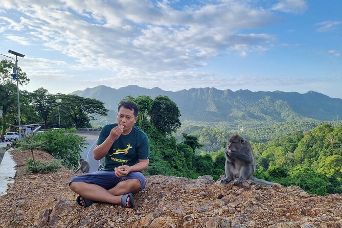 Best Lombok Rice Terrace Walking Tour With Waterfall & Monkey - Monkeys and mountain views at Pusuk Pass