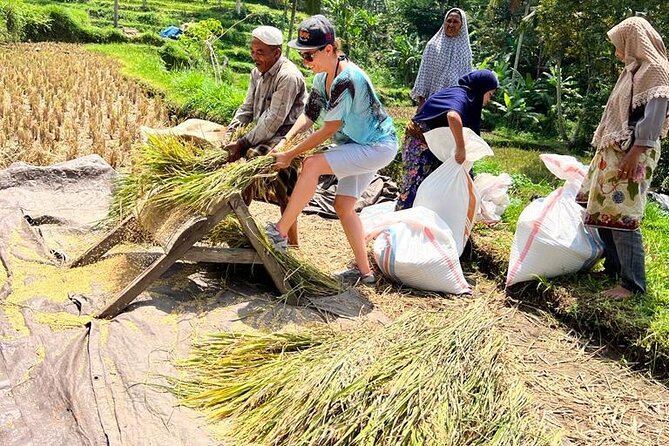 Best Lombok Rice Terrace Walking Tour With Waterfall & Monkey - The road time, communication, and comfort