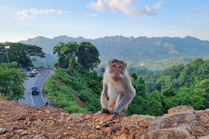 Best Lombok Rice Terrace Walking Tour With Waterfall & Monkey - What to bring and how to pace the day