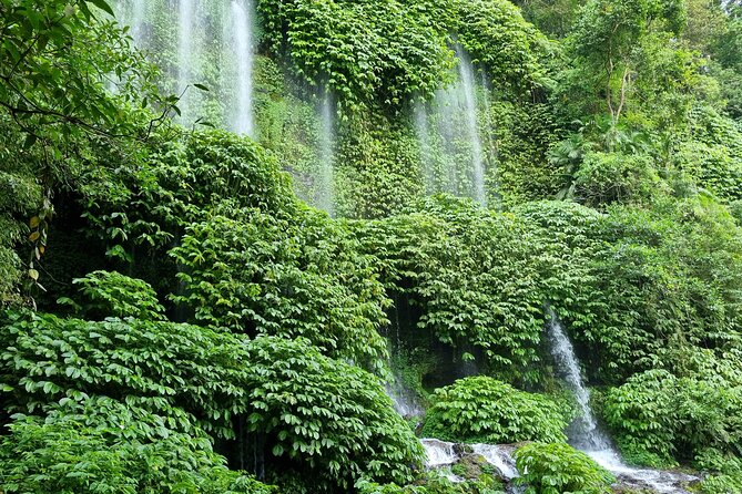 Best Lombok Rice Terrace Walking Tour With Waterfall & Monkey - Benang Stokel and Benang Kelambu waterfalls