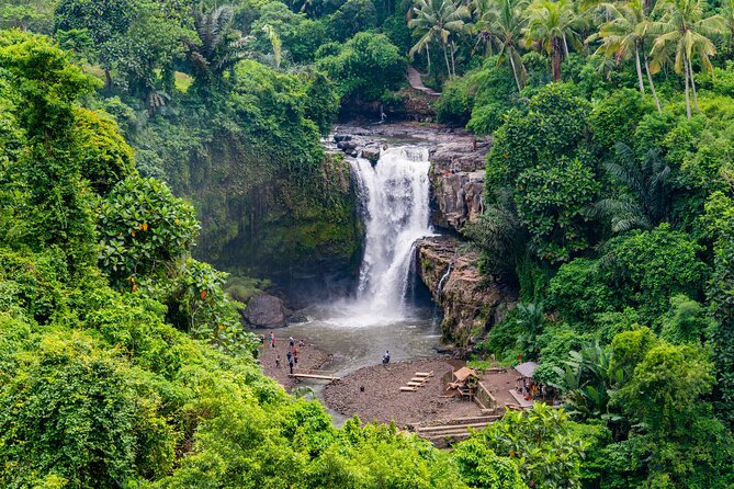 Best of Authentic Balinese Tour - What the $49.49 price buys you