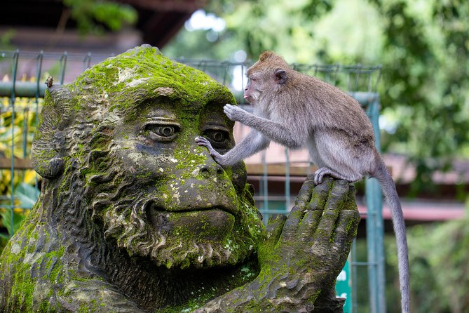 Best of Bali 3-Day Packaged Tour - What three days in Bali really looks like