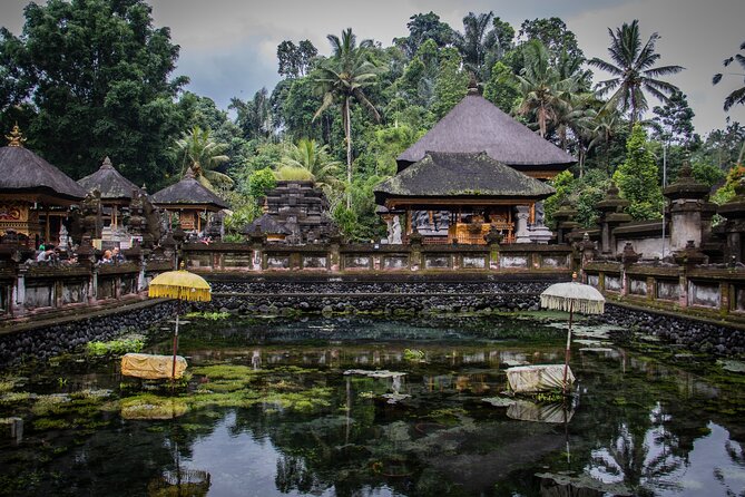 Best of Bali : Bali Temples , Rice Terrace and Waterfall Tour - Tegalalang Rice Terrace and the cost of the views
