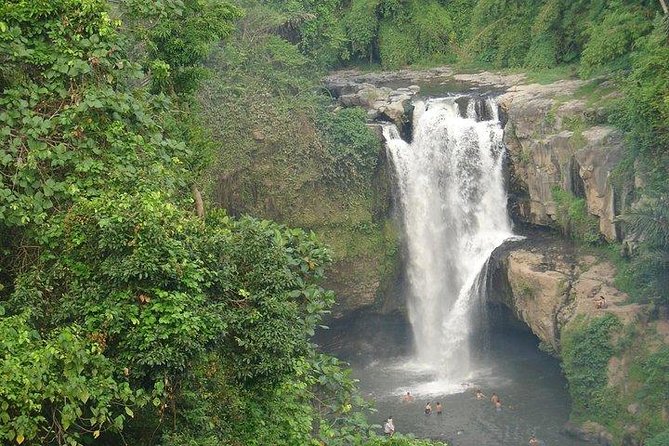 Best of Bali Jungle Swing with Ubud Sightseeing Tour - Campuhan Ridge Walk for photos and fresh air