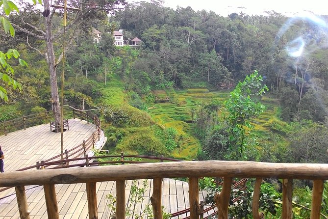 Best of Bali : Ubud, Rice terrace, Tanah lot temple with Lunch - Tegalalang Rice Terrace: 30 minutes among working fields