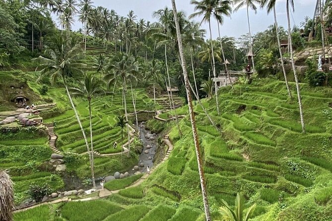 Best of Instagram Tour: Gate of Heaven, Tirta Gangga, Bali Swing - Aloha Ubud Swing and extra photo costs