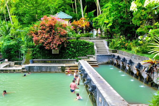 Best of North Bali Tour, Hot Spring, Waterfall, Lake Temples - The private vehicle and guide setup
