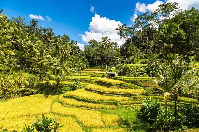 Best of Ubud 1-Day Private Tour - Starting with Bali’s craft villages