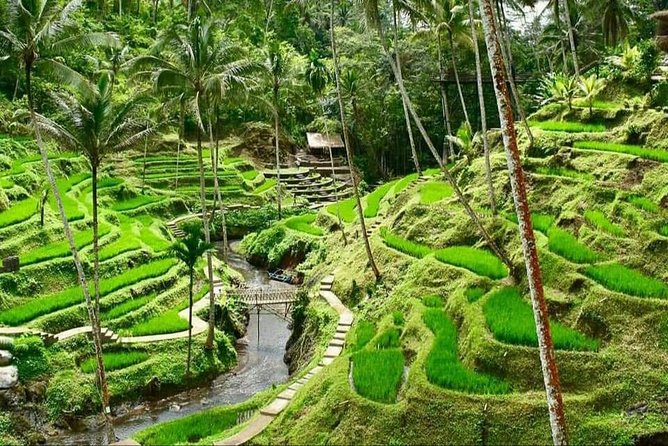 Best of Ubud Full Day Private Guided Tour - Entering a traditional Balinese house