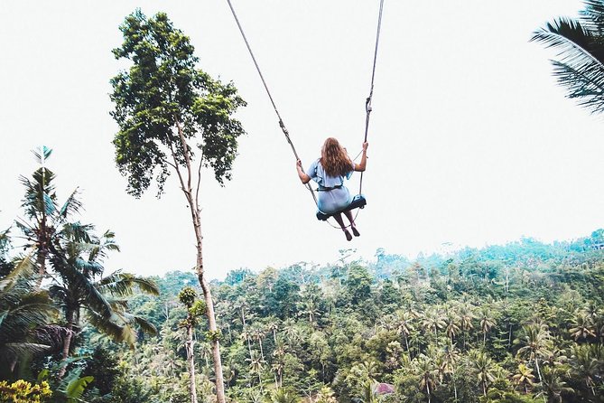 Best of Ubud Full-Day Tour with Jungle Swing - Tegalalang Rice Terrace and the jungle swing
