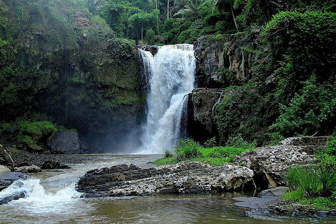 Best Of Ubud Private Day Tour With Local Guide - Tegenungan Waterfall and the one-hour stop