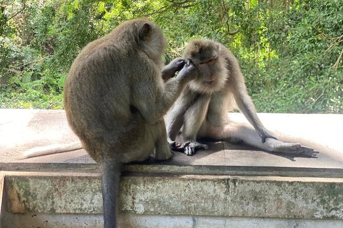 Best Of Ubud Private Day Tour With Local Guide - Celuk Village and Bali’s silver craft