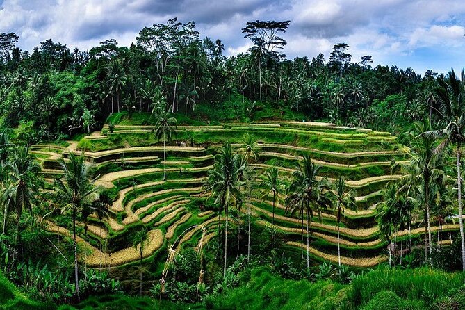 Best Of Ubud Private Day Tour With Local Guide - Eight hours on Bali’s roads