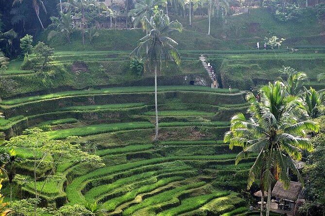 Best Of Ubud Private Day Tour With Local Guide - Batuan Temple and the visual language of Bali